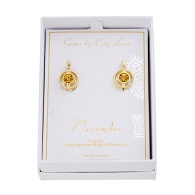 City Luxe Cubic Zirconia Simulated Birthstone Drop Earrings