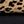 Iconic Cheetah