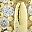 Gold Tone