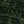 Dark Green Marl