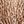 Snake Ivory