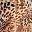 Cheetah Blush