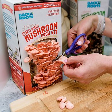 BACK TO THE ROOTS Organic Pink Oyster Mushroom Grow Kit