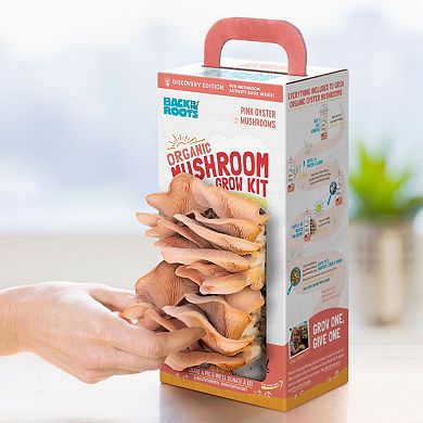BACK TO THE ROOTS Organic Pink Oyster Mushroom Grow Kit