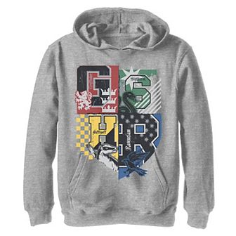 Boys 8-20 Harry Potter Hogwarts Quidditch Flags Crest Graphic Hoodie