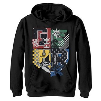 Boys 8-20 Harry Potter Hogwarts Quidditch Flags Crest Graphic Hoodie