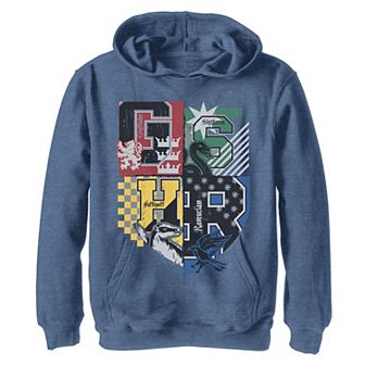 Boys 8-20 Harry Potter Hogwarts Quidditch Flags Crest Graphic Hoodie