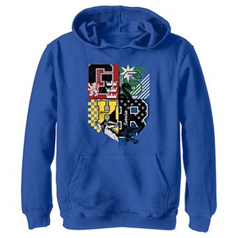 Boys 4-20 Harry Potter Hogwarts Quidditch Flags Crest Graphic Hoodie