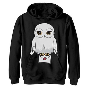 Boys 8-20 Harry Potter Hedwig Cute Cartoon Portrait Graphic Hoodie