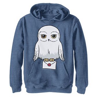 Boys 8-20 Harry Potter Hedwig Cute Cartoon Portrait Graphic Hoodie