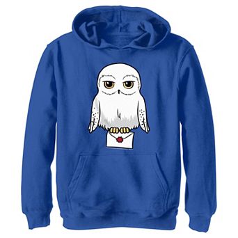 Boys 4-20 Harry Potter Hedwig Cute Cartoon Portrait Graphic Hoodie