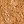 Faux Tan