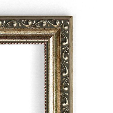 Amanti Art Parisian Silver Finish Traditional Wood Wall Mirror