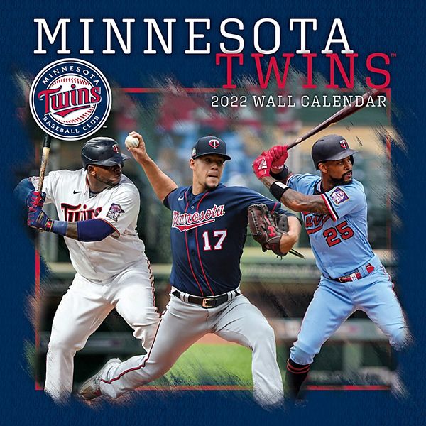 Minnesota Twins on X: Celebrate #NationalMascotDay with a new