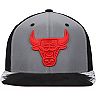 Men's Mitchell & Ness Silver/Gray Chicago Bulls Day 5 Snapback Hat