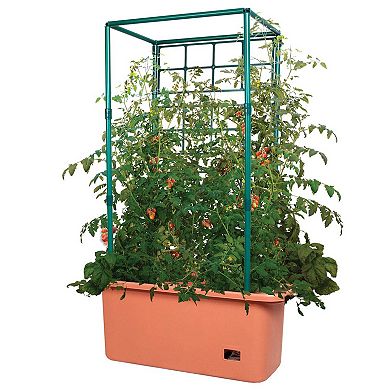 Hydrofarm GCTR 10 Gal Tomato Trellis Self Watering Grow System (2 Pack)