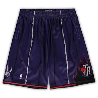 Men's Mitchell & Ness Purple Toronto Raptors Big & Tall Hardwood Classics Team Swingman Shorts