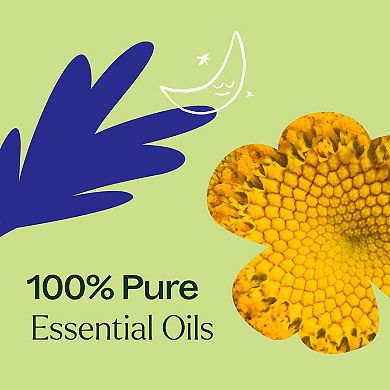 Plant Therapy Relaxation 3 Essential Oil Blend Set