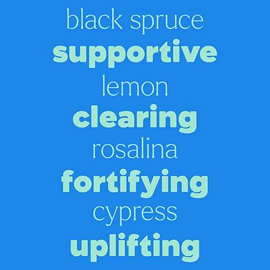 Plant Therapy Kids Feelin' Good 3 Essential Oil Set