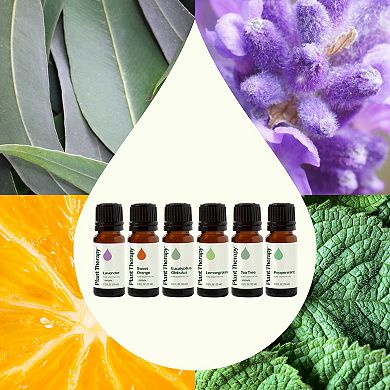 Plant Therapy Breathe Easy 6 Essential Oil Set