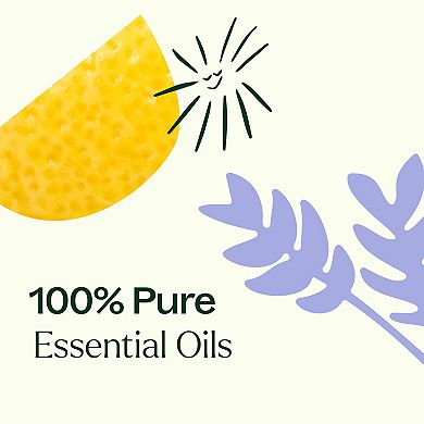 Plant Therapy Breathe Easy 6 Essential Oil Set