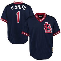 Men's Nike Paul Goldschmidt Light Blue St. Louis Cardinals Alternate 2020  Replica Player Jersey