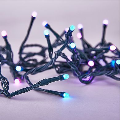 Home Heritage Lumations 33 Ft Rgb Led Indoor/outdoor String Lights, 100 Count