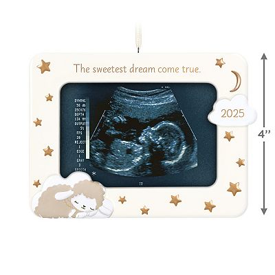 Sweetest Dream Come True 2025 Frame Hallmark Keepsake Christmas