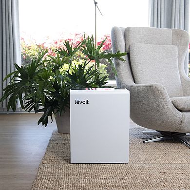 Levoit Smart Air Purifier with Bonus Filter