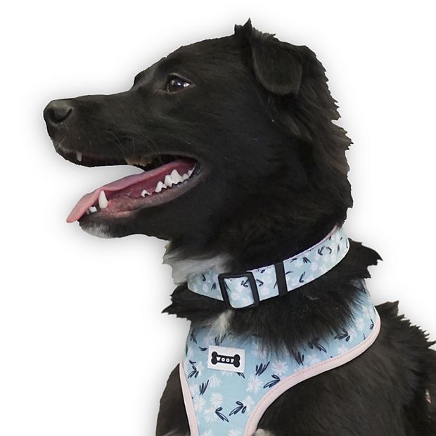 Zero Woofs Given Custom Dog Collar