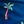 Navy Palm