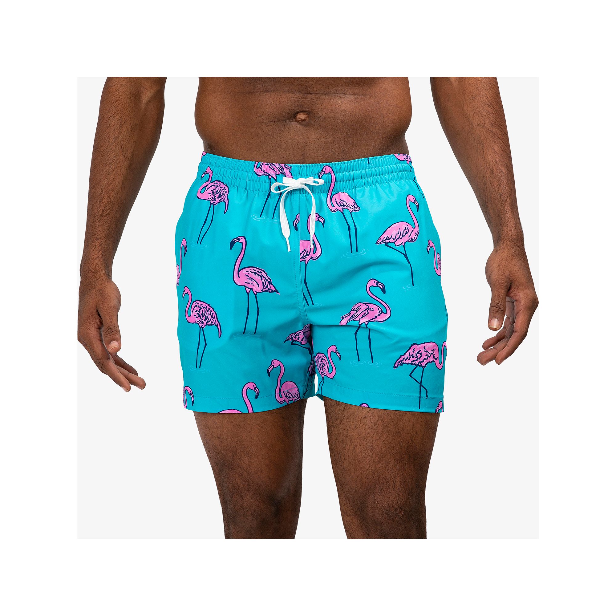 Mens Chubbies 5.5 Swim Trunks, Size: Small, Turquoise