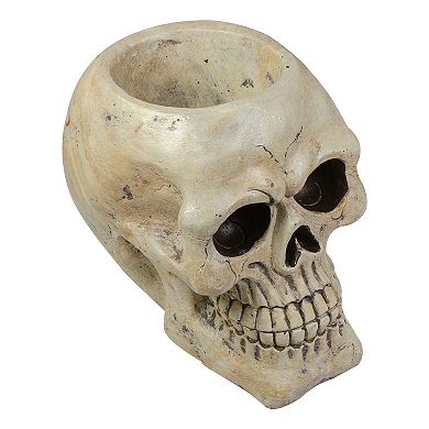 Northlight Halloween Skull Decorative Table Decor