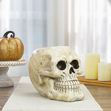 Northlight Halloween Skull Decorative Table Decor