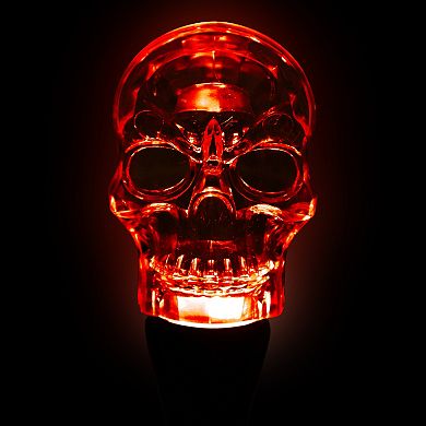 Northlight LED Transparent Halloween Skull Light