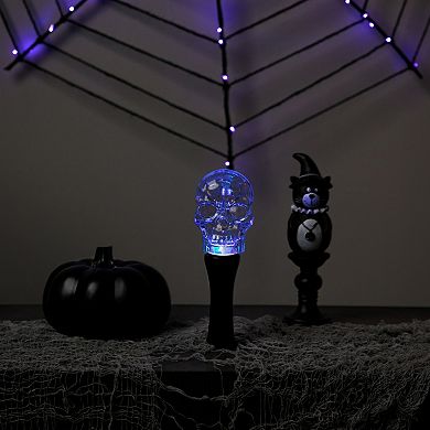 Northlight LED Transparent Halloween Skull Light