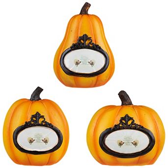 Northlight Pumpkin Thanksgiving Table Decor 3 pc Set