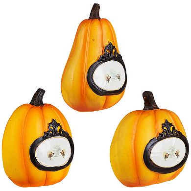 Northlight Pumpkin Thanksgiving Table Decor 3-piece Set