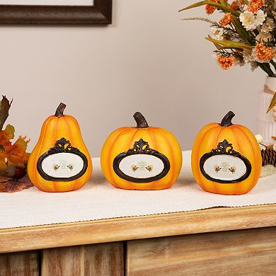 Northlight Pumpkin Thanksgiving Table Decor 3-piece Set