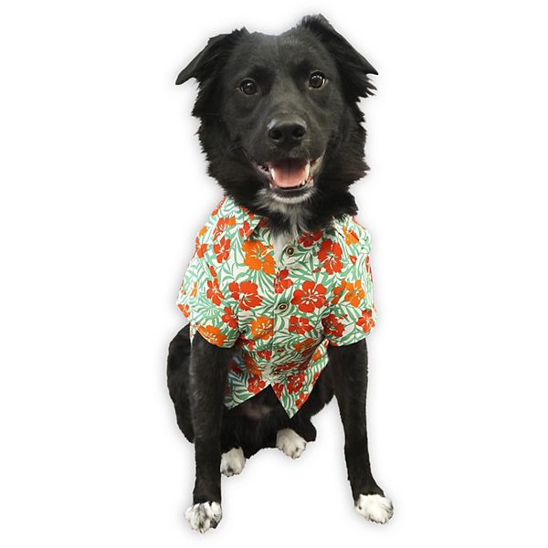 Hawaiian shirt 2025 for dogs