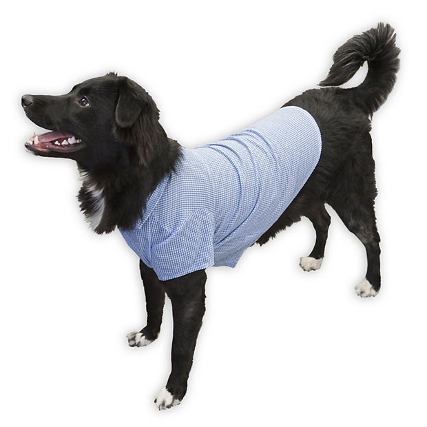 Kohls store dog clothes