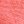 Simply Coral