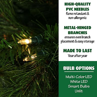 National Tree Company 6.5-ft. Clear LED Canyon Pine Artificial Christmas Tree