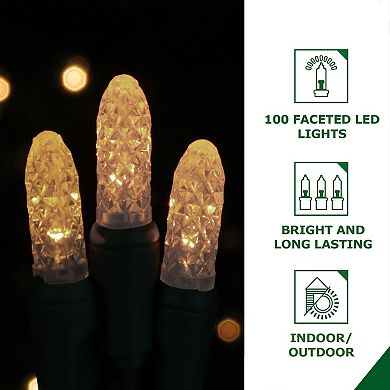 National Tree Company 30-in. Snowflake Indoor / Outdoor Decor