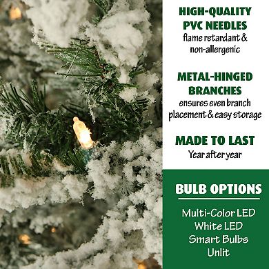 National Tree Company 9-ft. Flocked Mountain Pine Artificial Christmas Tree