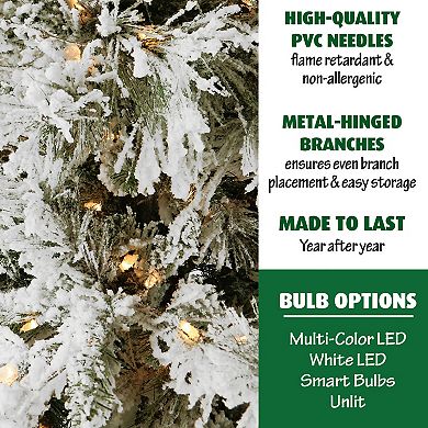 National Tree Company 6.5-ft. Flocked LED-Light Snowy Pine Artificial Christmas Tree