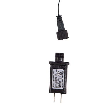 Kurt Adler UL 10-Light LED Red Rose Light Set