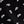 Black Modern Palm