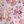 Purple Spring Tile