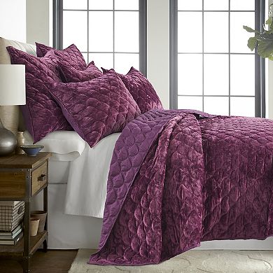 Levtex Home BH Ellora Plum Velvet Quilt or Sham